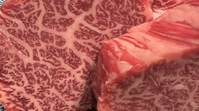 本格焼肉・もつ鍋 肉衛門 - メイン写真: