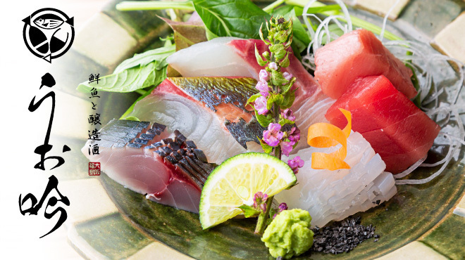 魚と醸造酒 大阪福島 うお吟 - メイン写真: