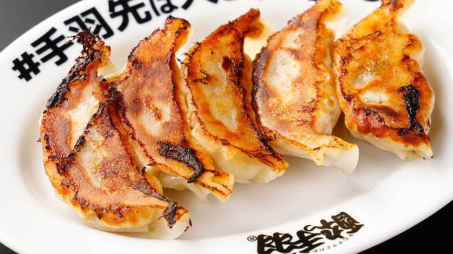 酔っ手羽横丁 - メイン写真: