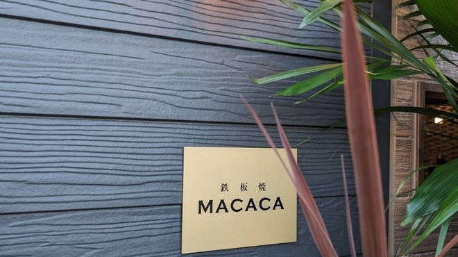 鉄板焼 MACACA - メイン写真: