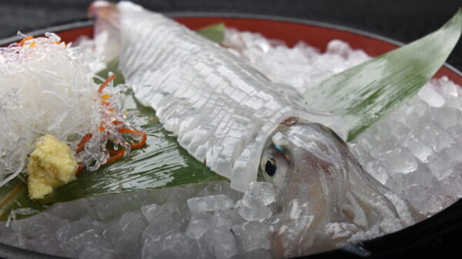 天然海水いけす海陽亭 - メイン写真: