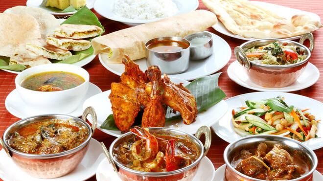 南インド料理ダクシン - メイン写真: