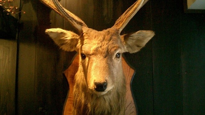 またぎ - メイン写真: