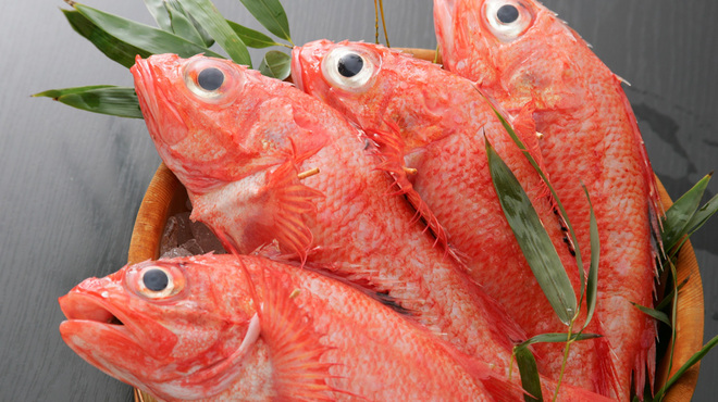 割烹 むら山 - 料理写真:高級魚きんき