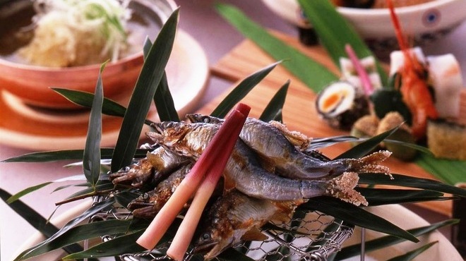 熊魚菴 たん熊北店 - メイン写真: