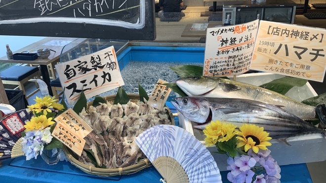 釣宿酒場 マヅメ - メイン写真: