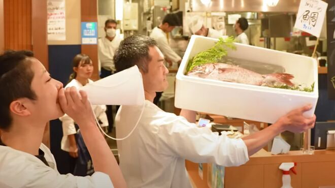 釣宿酒場 マヅメ - メイン写真: