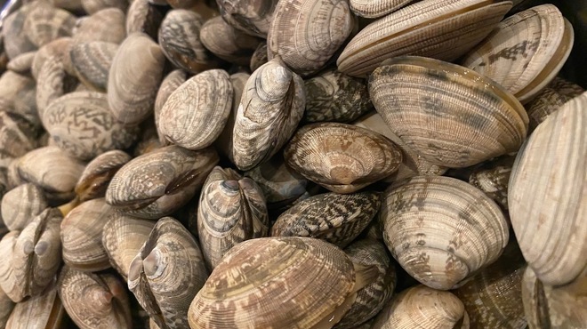 たこ焼きとおでん 石橋 - メイン写真: