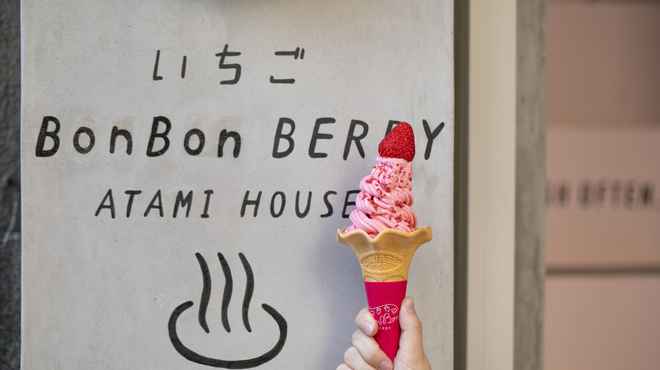 いちごBonBonBERRY ATAMI HOUSE. - メイン写真: