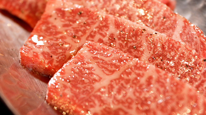焼肉 徳川苑 - メイン写真: