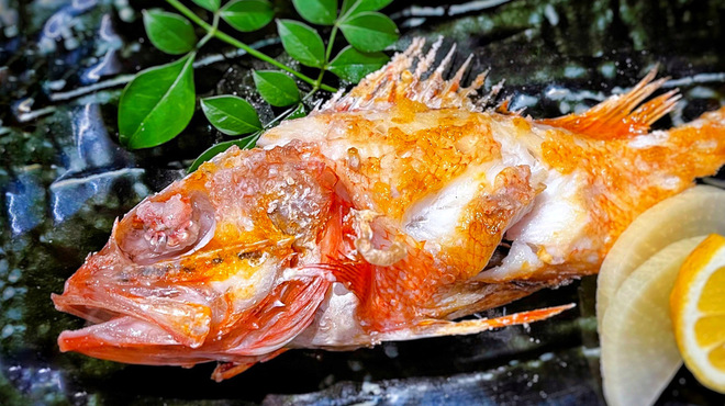 魚彩居酒屋 ののの - メイン写真: