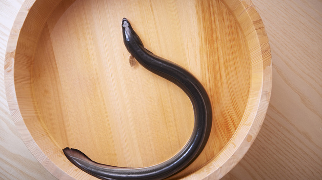 うなぎと炭焼 久松 - メイン写真:
