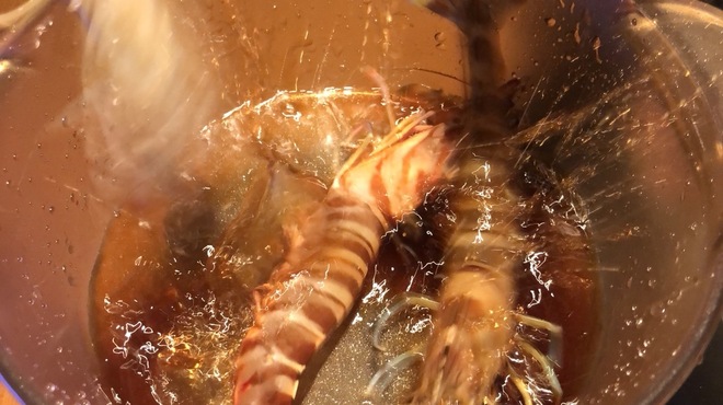 牡蠣×海老 かいり 恵比寿 - メイン写真: