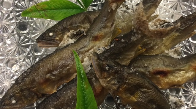 うまいもの屋敷 忍者でらっくす - メイン写真: