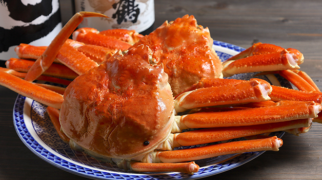 酒とめし 昭和屋 - メイン写真: