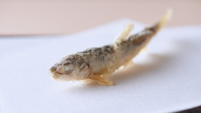 天秀 - メイン写真: