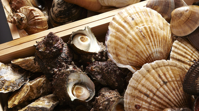 あこや - メイン写真: