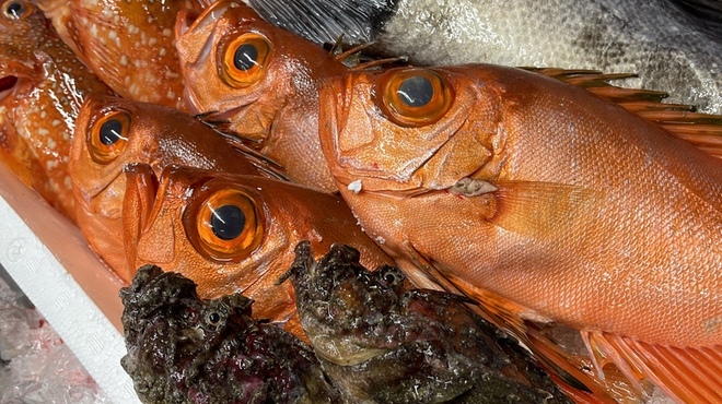 碧と風 - メイン写真: