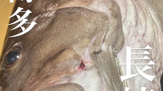 博多丸秀 - メイン写真: