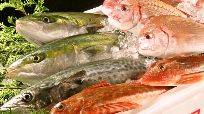 湘南鮮魚と炭焼牛たん かっこ - メイン写真: