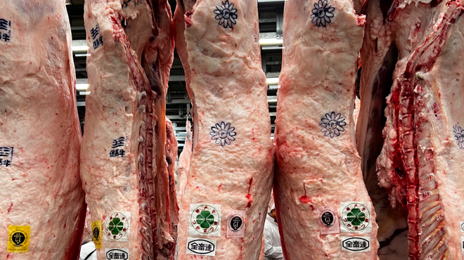 神戸焼肉 金虎 - メイン写真: