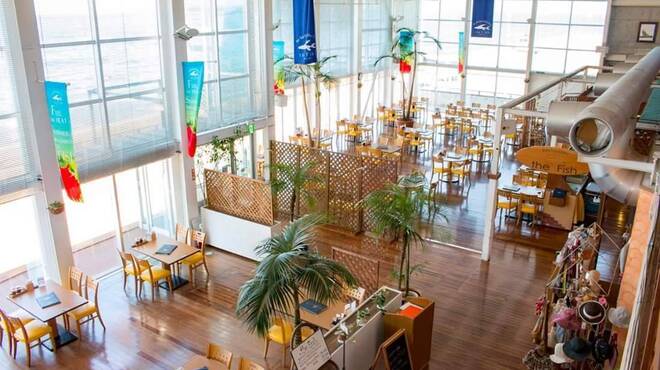 ザ・フィッシュ - メイン写真: