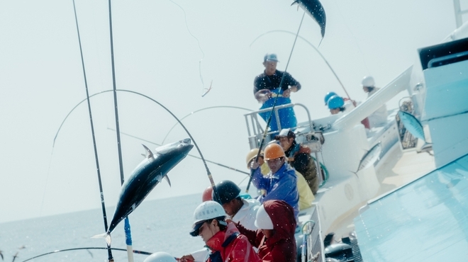 藁焼き鰹たたき明神丸 - メイン写真: