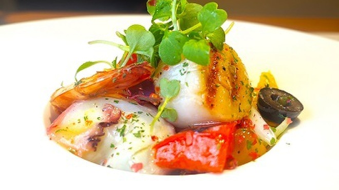 SHIBATORA - メイン写真: