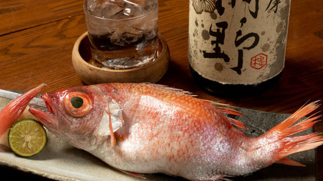 のどぐろ専門 銀座中俣 - メイン写真: