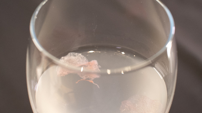 銀熊茶寮 - メイン写真: