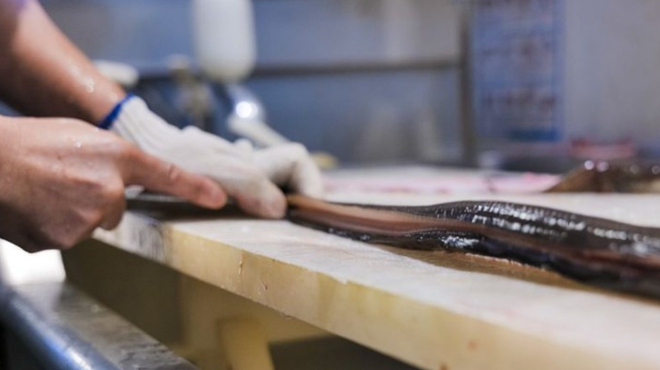 廻船酒蔵 ベッチャーの胃ぶくろ - メイン写真: