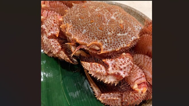 銀座 しまだ - メイン写真: