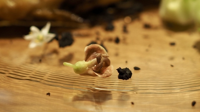 Chez Tetsu - 料理写真: