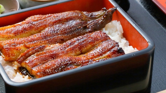 江戸菊 - メイン写真: