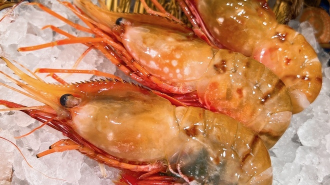 鮨サロン 怜竜 - 料理写真:エビ