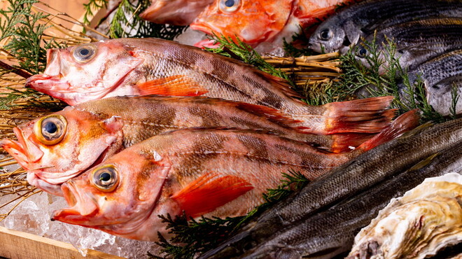 真打 かず家 - メイン写真: