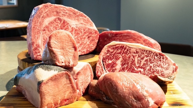 CICADA - メイン写真: