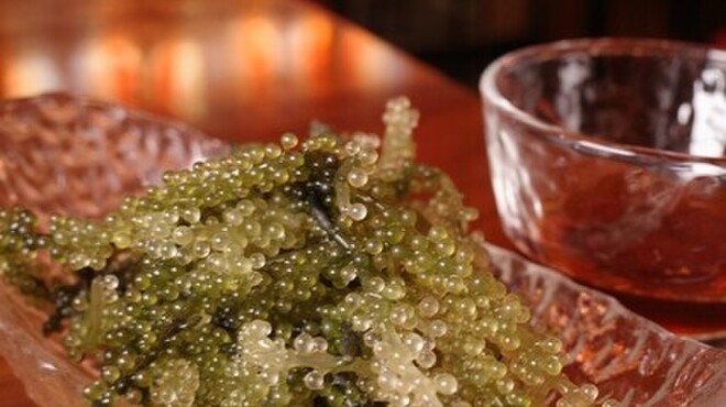 餃子酒場 ぶらんちゅ - メイン写真: