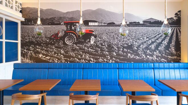 パスタハウス庭 - メイン写真: