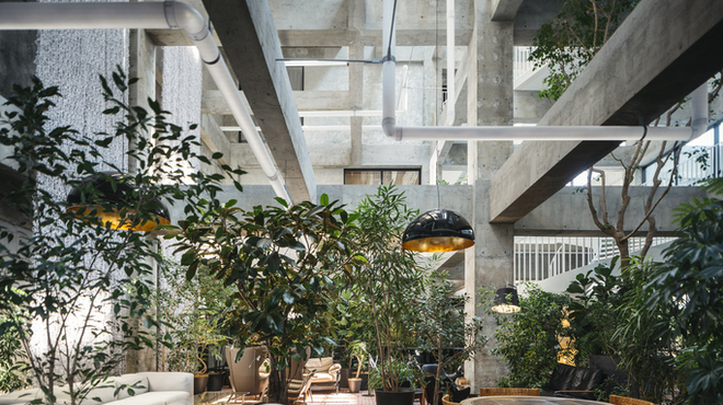 SHIROIYA the LOUNGE - メイン写真: