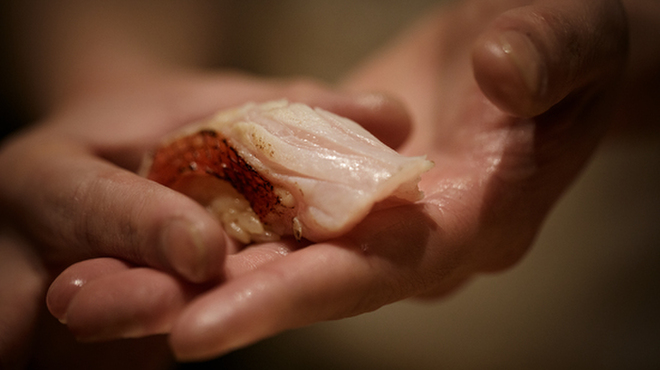 GENTLE Sushi Bar - メイン写真: