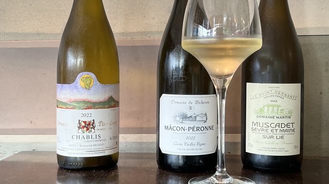 ビストロ魚金 - メイン写真: