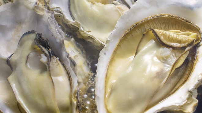 魚介ビストロ sasaya BYO - メイン写真: