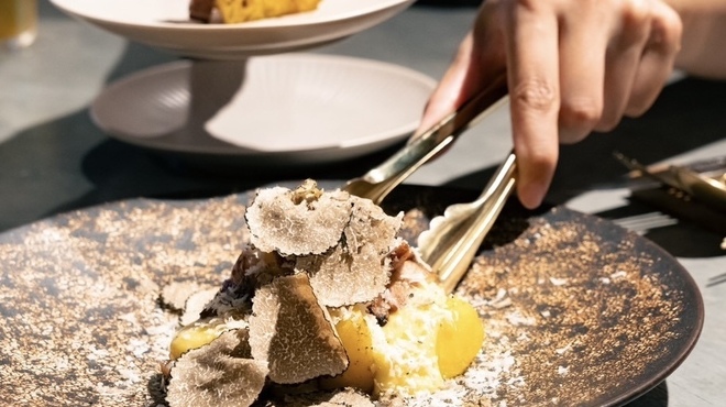 CICADA - メイン写真: