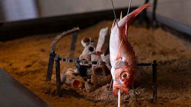 炭火焼き ヒノカミ - メイン写真: