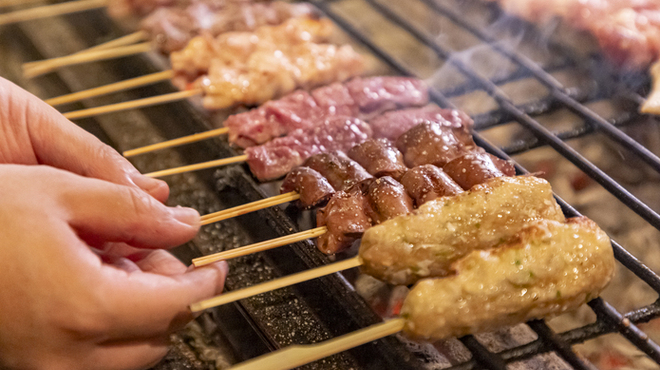 ポロ助 - メイン写真: