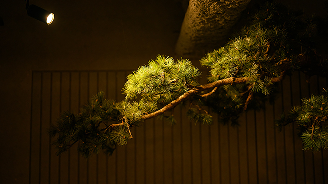 ètoile - メイン写真:内観イメージ