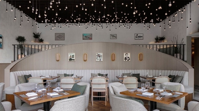 TRATTORIA PIZZERIA 207 - メイン写真: