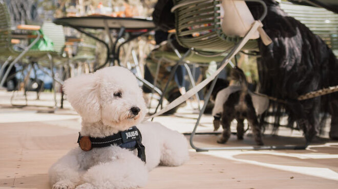 ファームビュッフェ mothers - メイン写真: