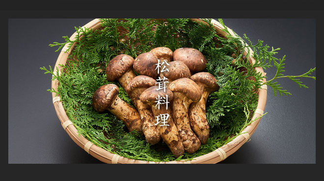 並木通り 瓢箪 - メイン写真: